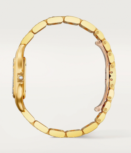 WJPN0060 Cartier Panthere de Cartier