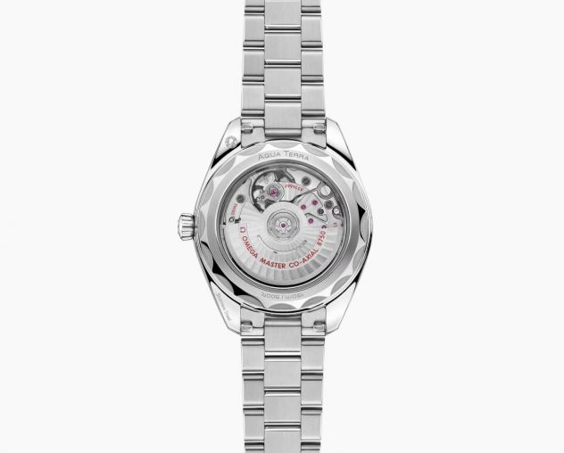 220.10.30.20.01.001 Omega Seamaster Aqua Terra