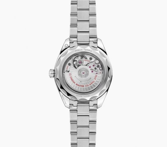 220.10.30.20.03.001 Omega Seamaster Aqua Terra