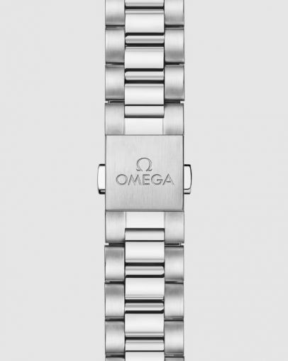 220.10.30.20.03.001 Omega Seamaster Aqua Terra
