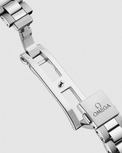 220.10.30.20.02.001 Omega Seamaster Aqua Terra