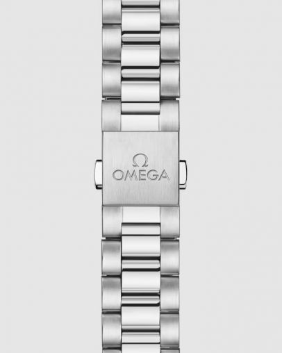 220.10.30.20.02.001 Omega Seamaster Aqua Terra