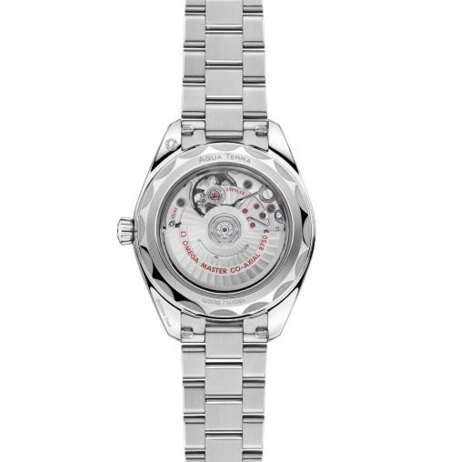 220.10.30.20.02.001 Omega Seamaster Aqua Terra