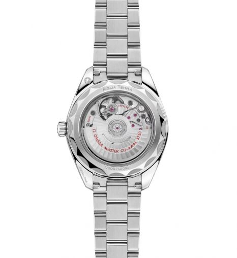 220.15.30.20.56.001 Omega Seamaster Aqua Terra