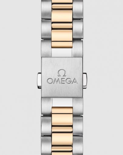 220.20.30.20.02.001 Omega Seamaster Aqua Terra