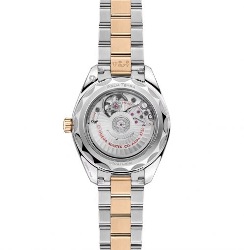 220.20.30.20.02.001 Omega Seamaster Aqua Terra