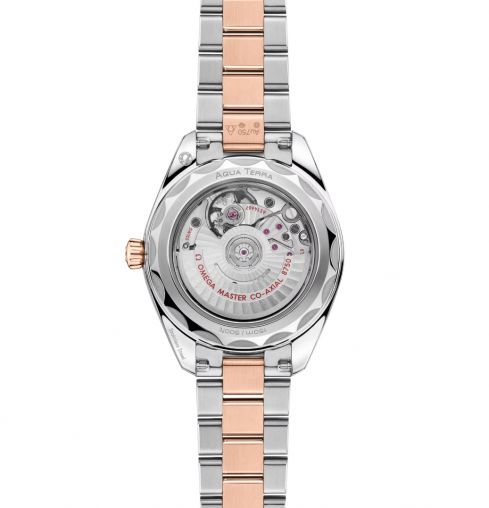 220.20.30.20.63.001 Omega Seamaster Aqua Terra