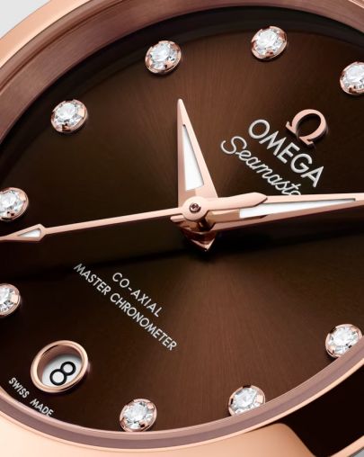 220.20.30.20.63.001 Omega Seamaster Aqua Terra