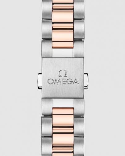 220.20.30.20.63.001 Omega Seamaster Aqua Terra
