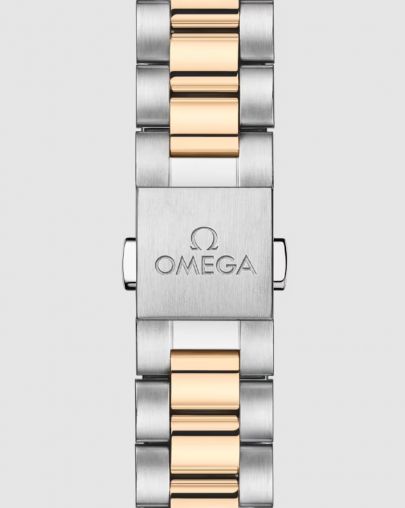 220.25.30.20.55.001 Omega Seamaster Aqua Terra