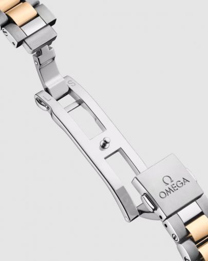220.25.30.20.55.001 Omega Seamaster Aqua Terra