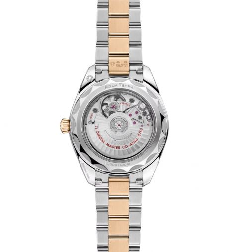 220.25.30.20.55.001 Omega Seamaster Aqua Terra