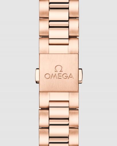 220.50.30.20.09.001 Omega Seamaster Aqua Terra