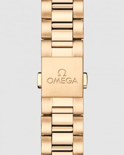 220.50.30.20.08.001 Omega Seamaster Aqua Terra