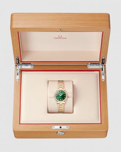 220.55.30.20.60.001 Omega Seamaster Aqua Terra