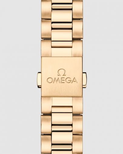 220.55.30.20.55.001 Omega Seamaster Aqua Terra