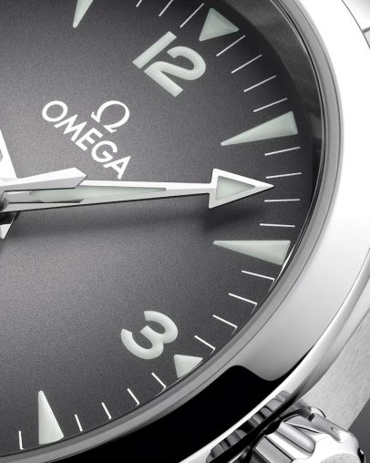 235.10.38.20.06.001 Omega Seamaster