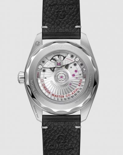 235.12.38.20.06.001 Omega Seamaster