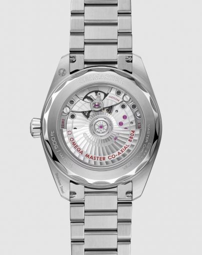 235.10.38.20.13.001 Omega Seamaster