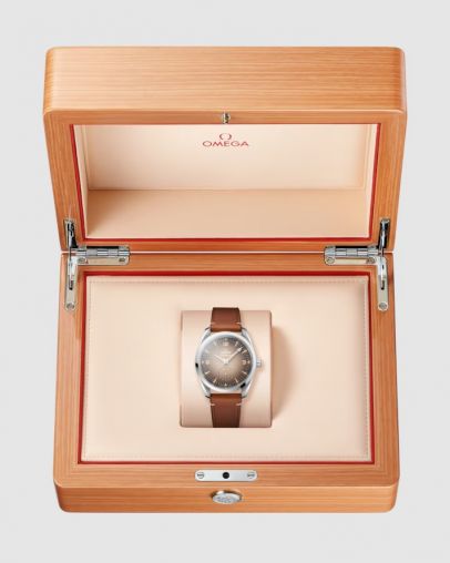 235.12.38.20.13.001 Omega Seamaster