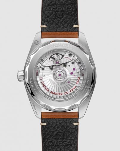 235.12.38.20.13.001 Omega Seamaster