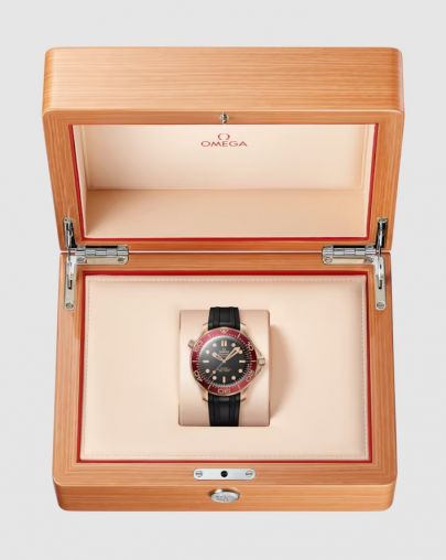 210.92.42.20.01.003 Omega Seamaster