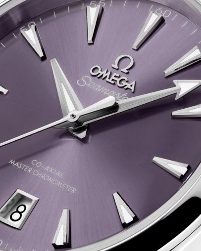 220.10.38.20.10.004 Omega Seamaster Aqua Terra