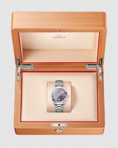 220.10.38.20.10.004 Omega Seamaster Aqua Terra