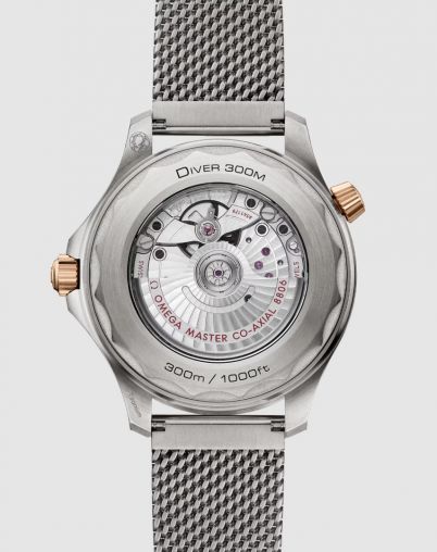 210.90.42.20.10.001 Omega Seamaster