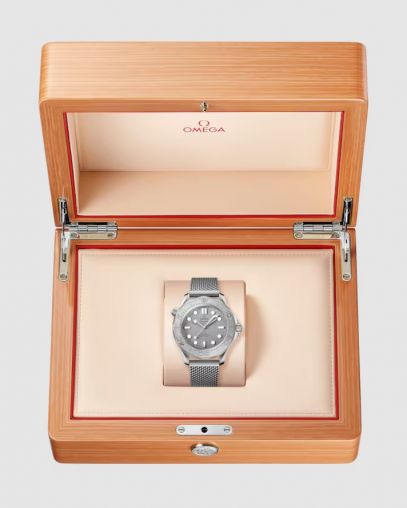 210.30.42.20.06.002 Omega Seamaster