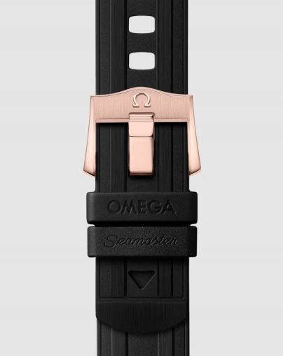 210.62.42.20.01.002 Omega Seamaster