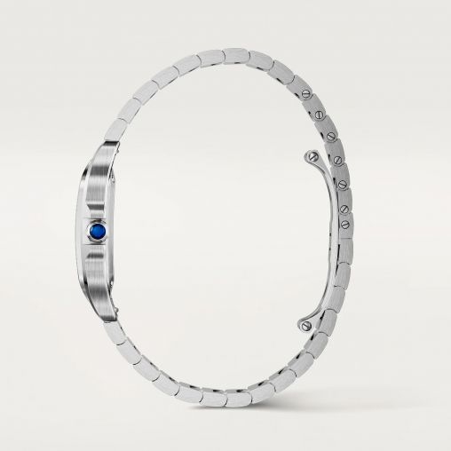 WSSA0082 Cartier Santos De Cartier
