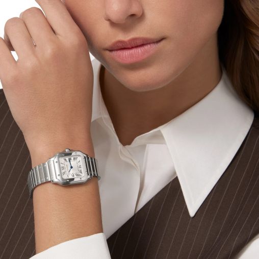 WSSA0082 Cartier Santos De Cartier