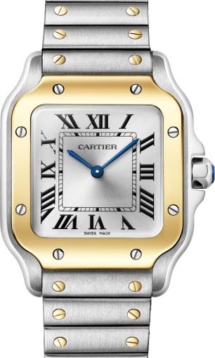 W2SA0033 Cartier Santos De Cartier