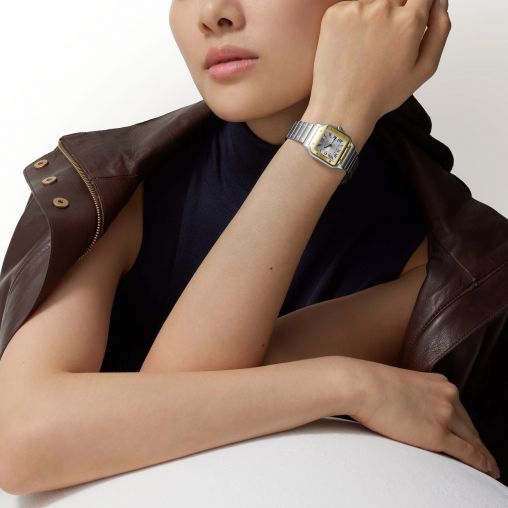 W2SA0033 Cartier Santos De Cartier