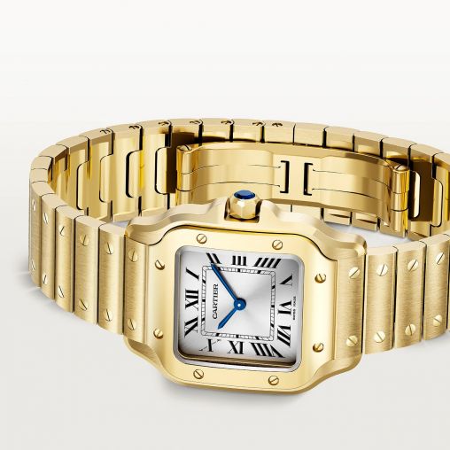 WGSA0107 Cartier Santos De Cartier