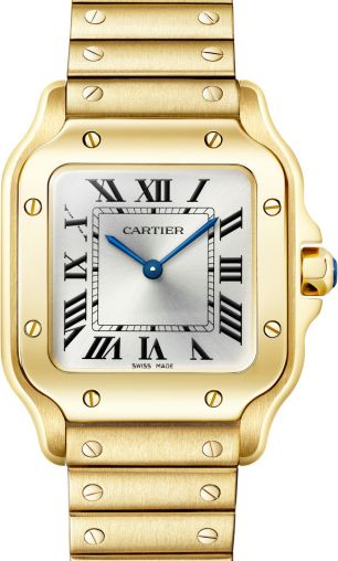 WGSA0107 Cartier Santos De Cartier