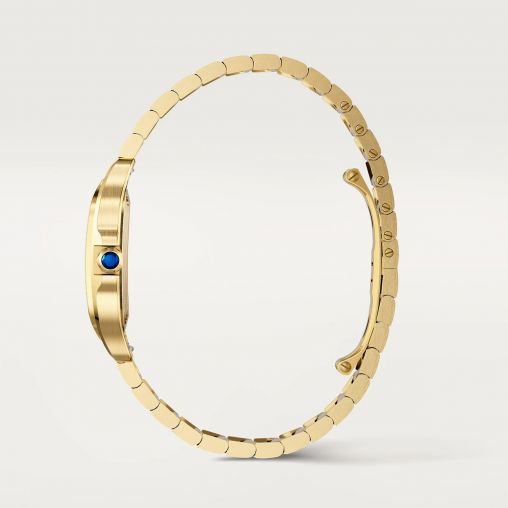 WGSA0107 Cartier Santos De Cartier