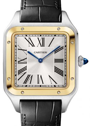 W2SA0034 Cartier Santos De Cartier