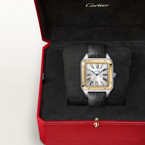 W2SA0034 Cartier Santos De Cartier