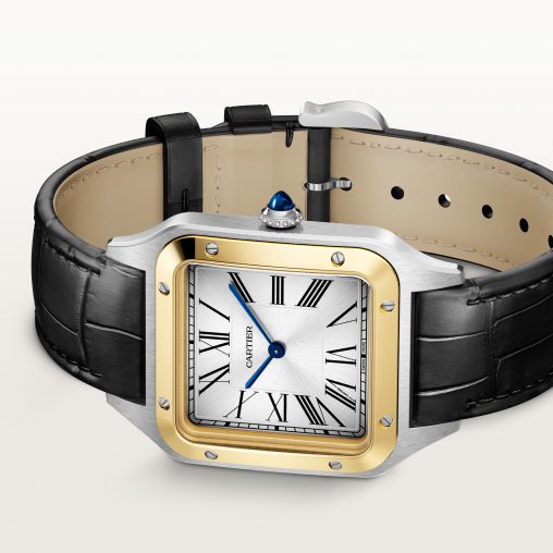 W2SA0034 Cartier Santos De Cartier