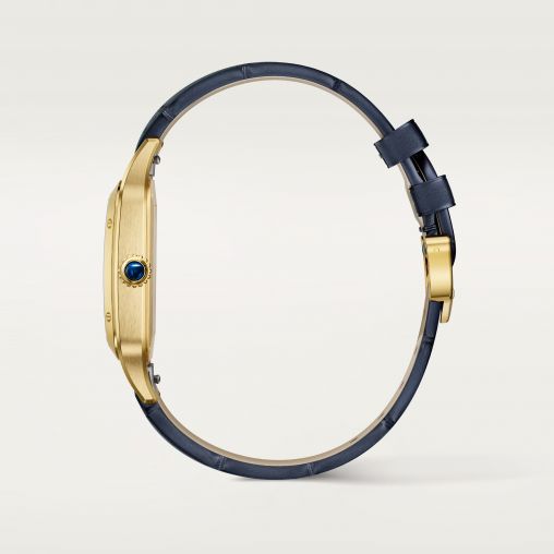 WGSA0108 Cartier Santos De Cartier