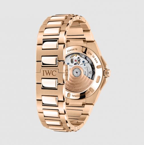 IW324903 IWC Ingenieur