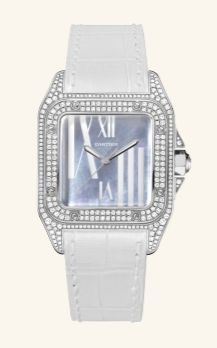 WM503251 Cartier Santos De Cartier
