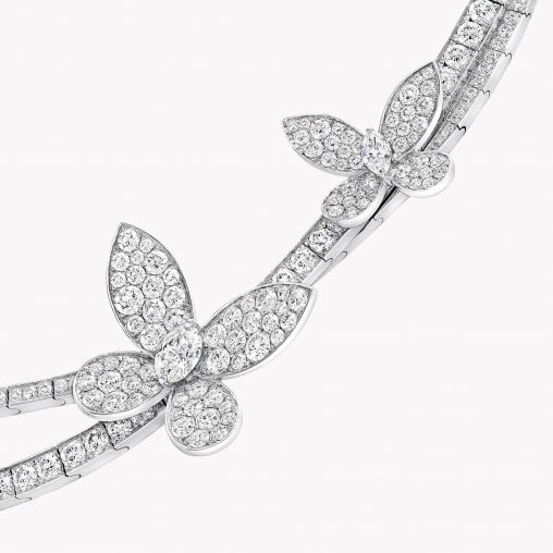 RGN764 GRAFF Butterfly