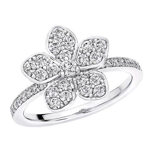 RGR848 GRAFF Wild Flower