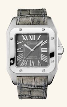 W20134X8 Cartier Santos De Cartier
