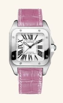 W20126X8 Cartier Santos De Cartier