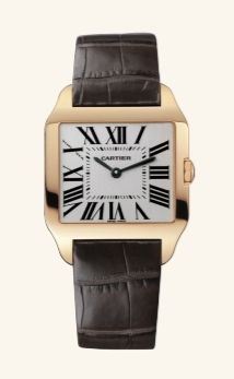 W2009251 Cartier Santos De Cartier