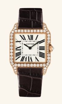 WН100351 Cartier Santos De Cartier